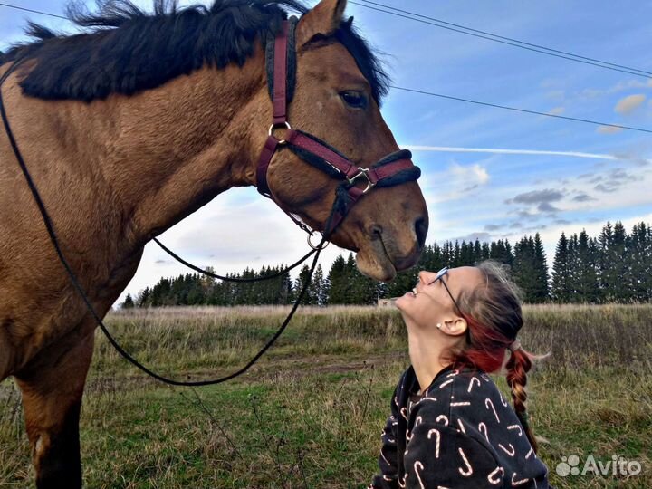 Прокат на лошадях