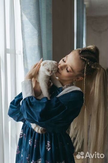 Передержка кошек и собак, Зооняня