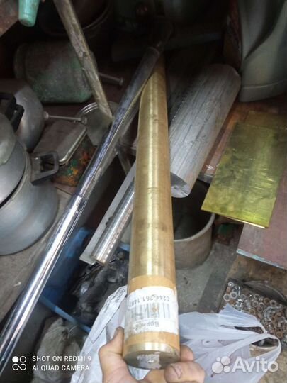 Кругляк бронзовый