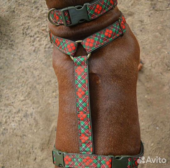 Ошейники для собак