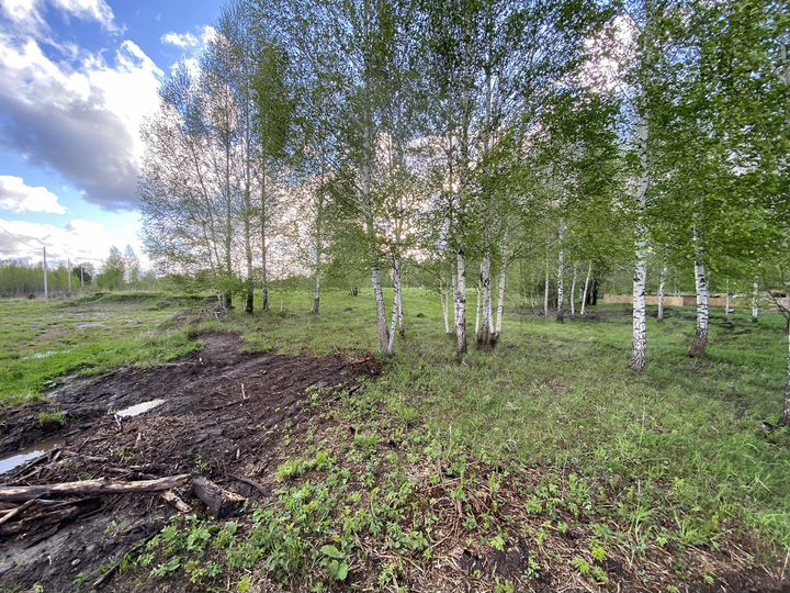 Участок 15 сот. (ИЖС)