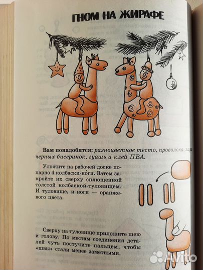 Книга Е. Данкевич 