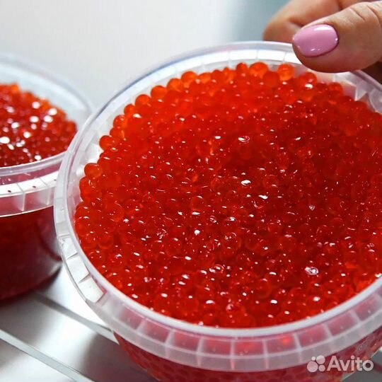 Красная икра 2023