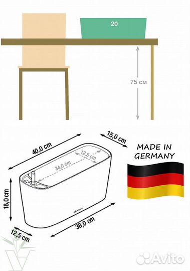 Филодендрон Золотистый в сером кашпо