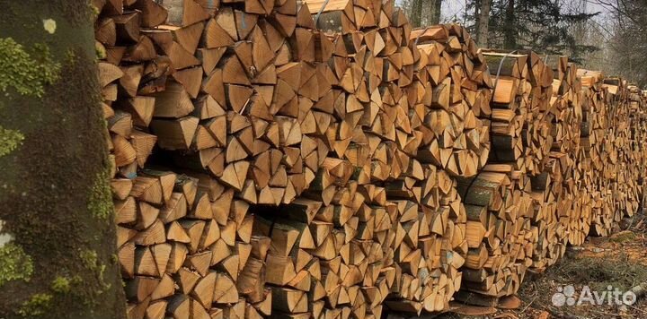 Дрова подсушенные