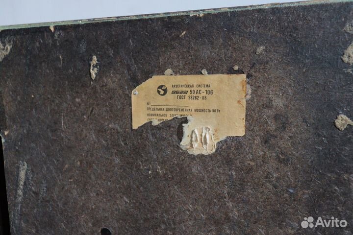 Акустические колонки вега 50 ас-106