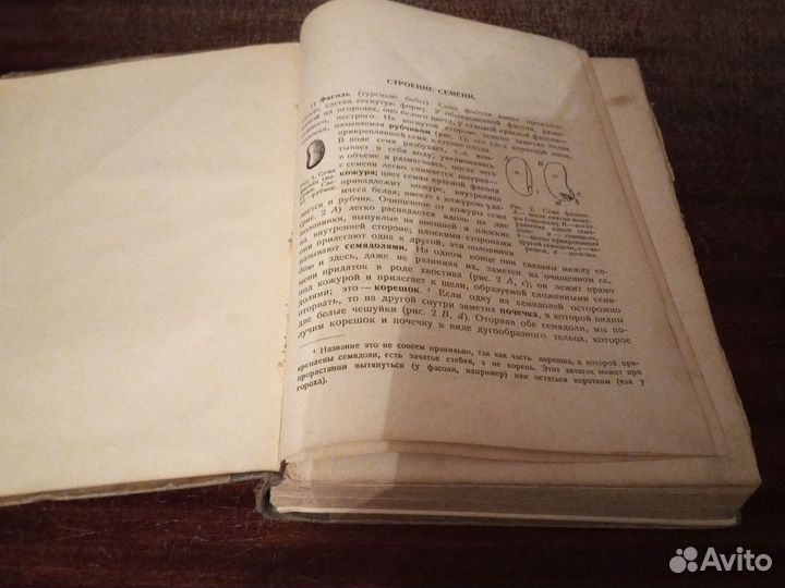 Бородин / Краткий учебник ботаники