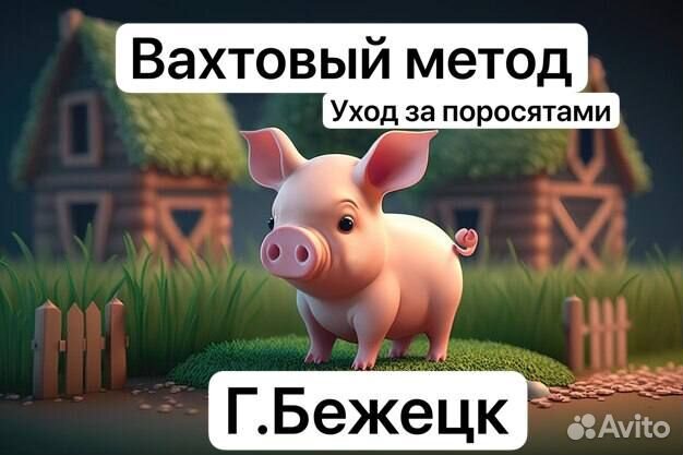 Уход за животными вахтой в Тверской области