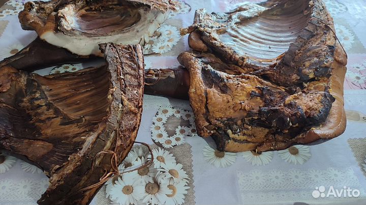 Мясо свинина