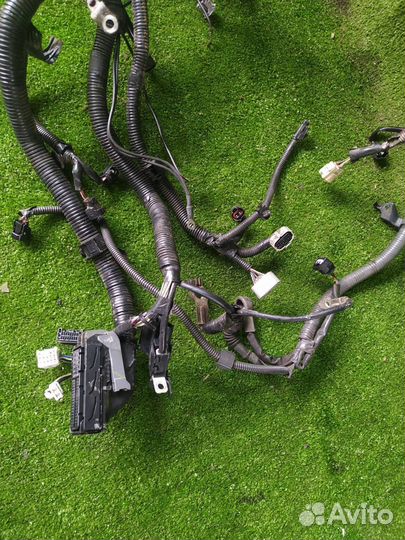 Коса двс Toyota Camry ACV40-aeank 2azfe 2008