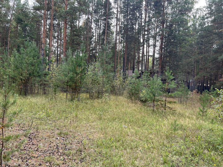 Участок 29 сот. (ИЖС)