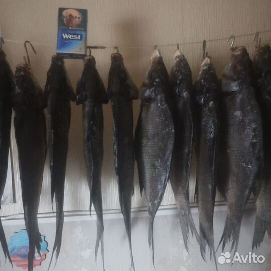 Вяленая рыба