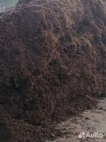 Конский навоз