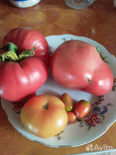 Семена и рассада
