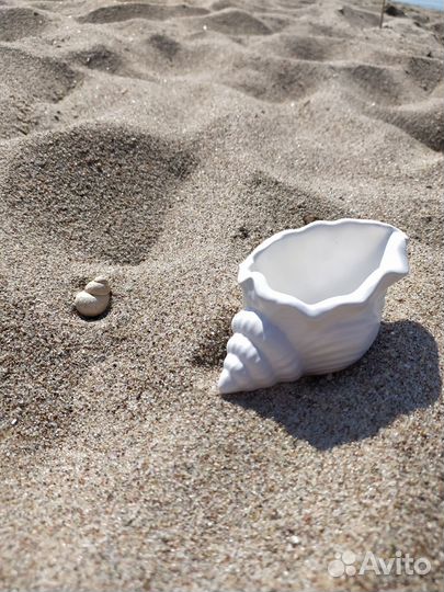 Ракушка из гипса