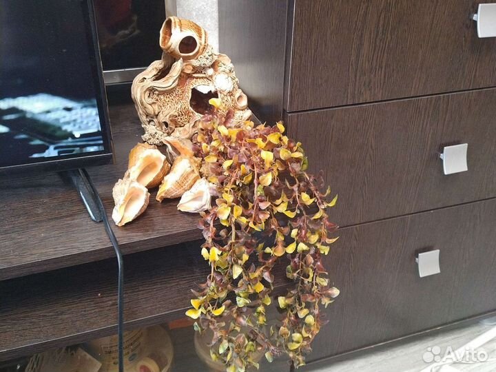 Весь набор 600