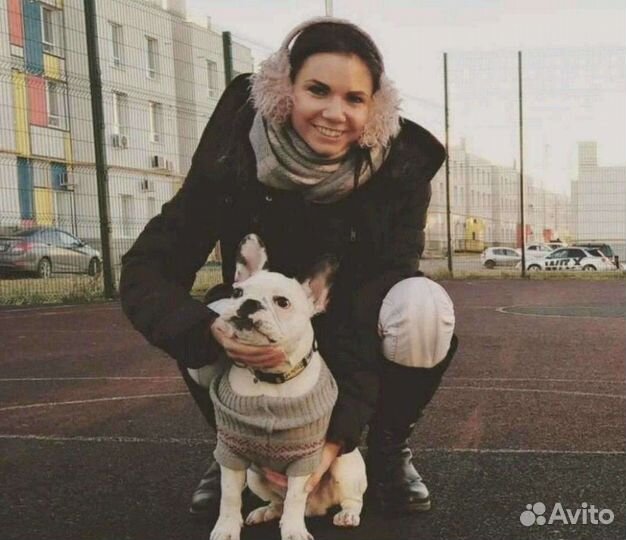 Выгул собак