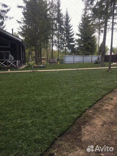 Укладка рулонного газона