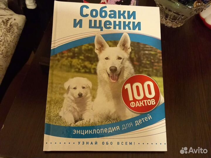 Энциклопедия для детей. Собаки и щенки