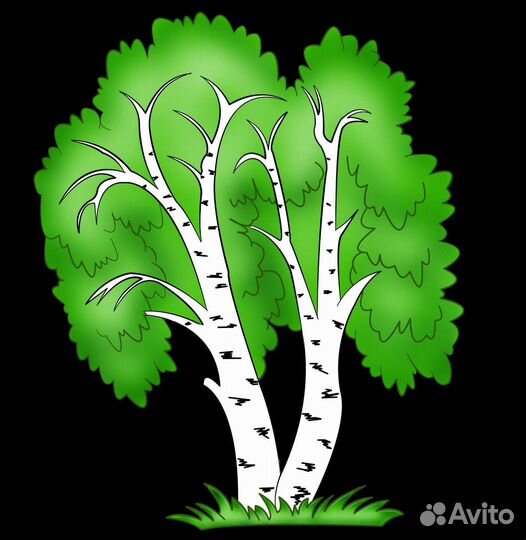 Валка, рубка, спил деревьев