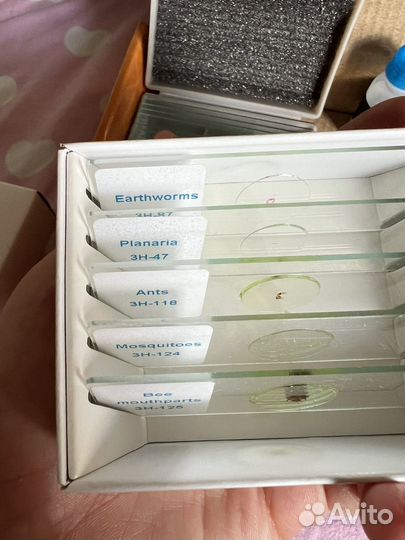 Микроскоп Levenhuk 3L NG, монокулярный