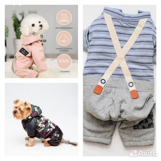 Новый комбинезон для собаки теплый