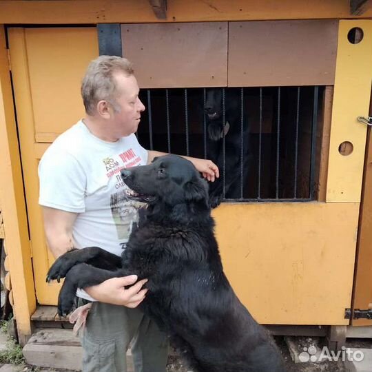 Зоогостиница для животных