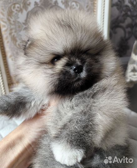 Мини девочка