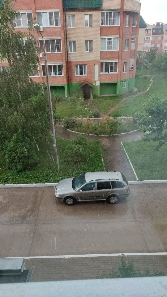 Skoda Octavia: фото владельца