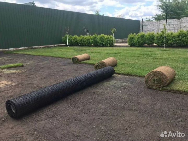 Сетка газонная от грызунов