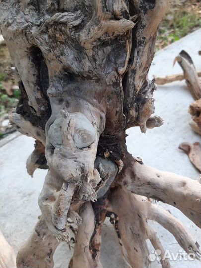 Коряги для интерьера