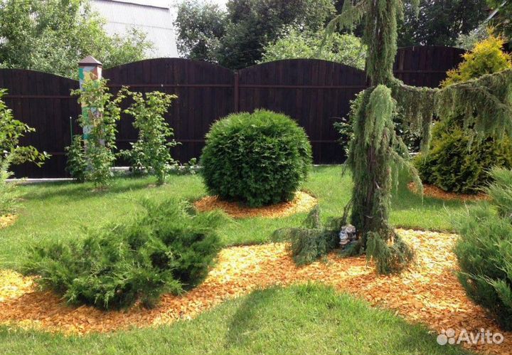 Декоративная щепа для ландшафтного дизайна