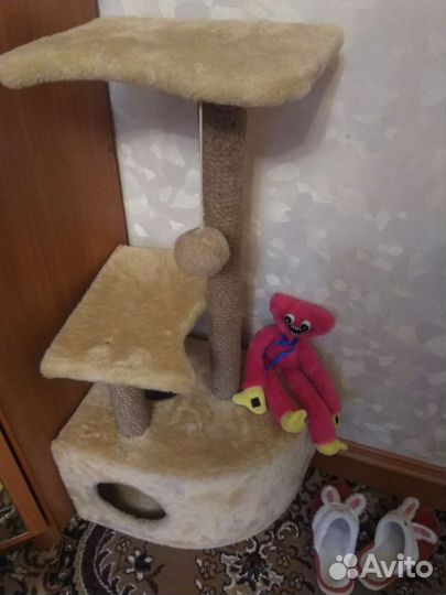 Когтеточка