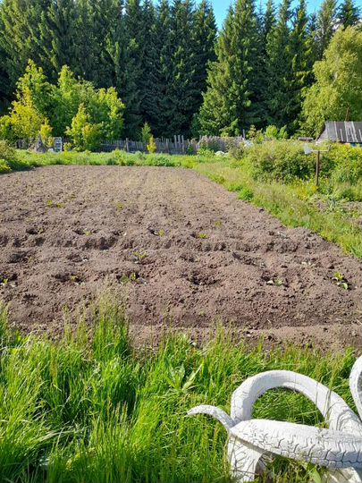 Участок 12 сот. (СНТ, ДНП)