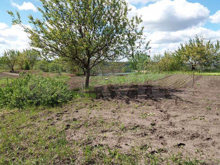 Участок 9 сот. (ИЖС)