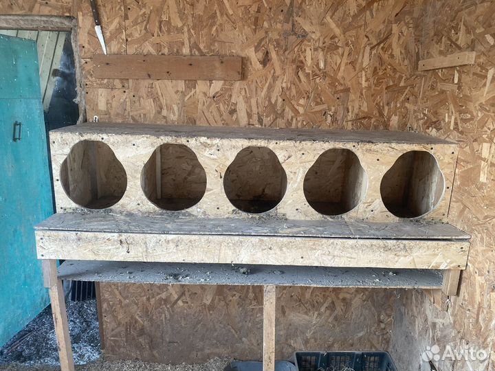 Гнездо для кур