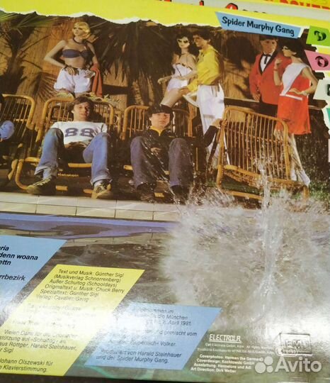 Spider Murphy Gang фирменный винил