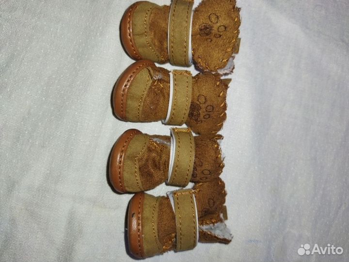 Обувь для маленьких собак