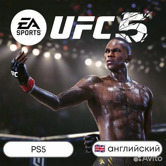 UFC 5
