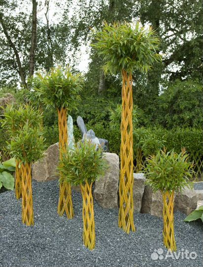 Плетенные деревья, плетенные ивы, пальма