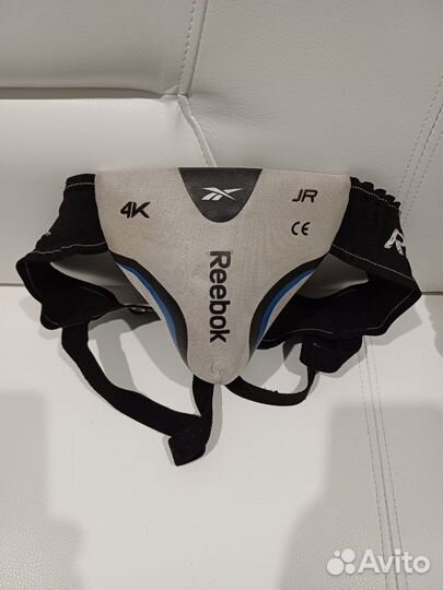 Ракушка хоккейная