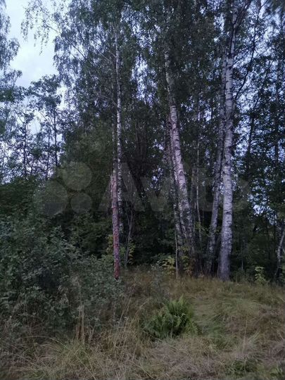 Участок 32 сот. (ИЖС)