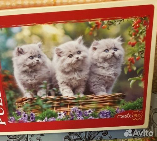 Пазл 1500 1000 500 160 кошки