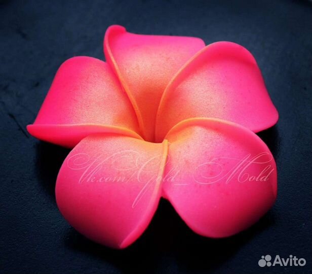 Форма силиконовая Прюмерия