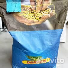 Семена кукурузы Монсанто 3511 - фао330