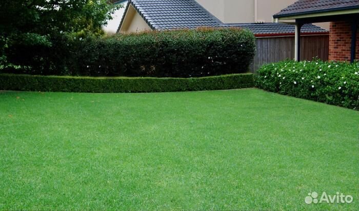 Грунт-Земля плодородная. Грунт для газона