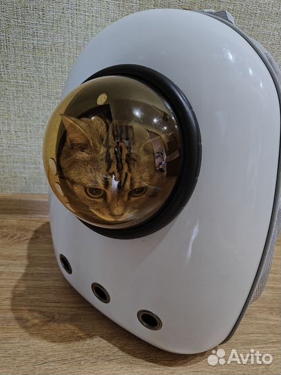 Сумка переноска для кошек и собак новая