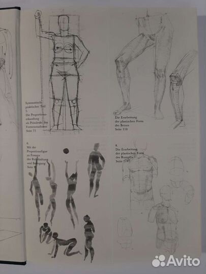 Анатомия для художников. Баммес