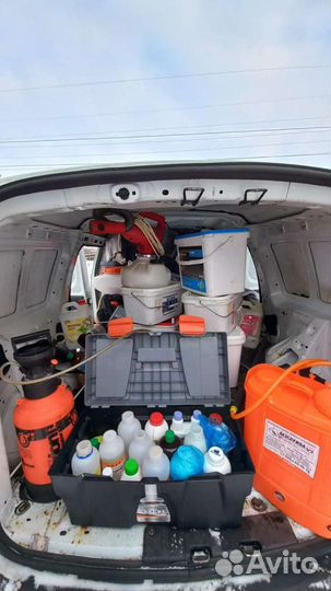 Уничтожение клопов тараканов борщевика плесени