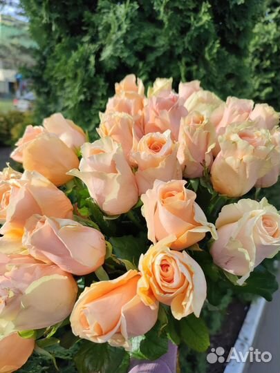 Букет из роз с доставкой Армавир Новокубанск